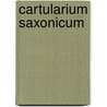 Cartularium Saxonicum door Walter Gray De Birch