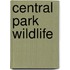 Central Park Wildlife