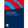 Cultural Intelligence door Hanne Seelmann-Holzmann