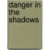 Danger in the Shadows