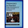Democracy in Practice door Thomas C. Beierle