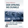 Der Sprung ins Dunkle by Dieter Hoffmann