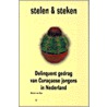 Stelen & steken door M. van San
