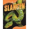 Slangen