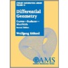 Differential Geometry door Wolfgang Kuhnel