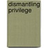 Dismantling Privilege