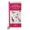 Eastern Coastal Birds by James Kavanaugh