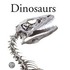 Encyclopedia Of Birds
