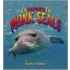 Endangered Monk Seals