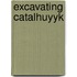 Excavating Catalhuyyk