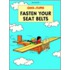 Fasten Your Seat Belt
