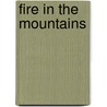 Fire In The Mountains by J.N. Howard