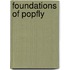 Foundations Of Popfly