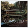 Frederick Law Olmsted by Paul Rocheleau