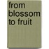 From Blossom to Fruit