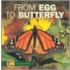 From Egg to Butterfly