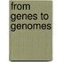 From Genes To Genomes