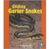 Gliding Garter Snakes