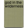 God in the Wilderness by Jamie S. Korngold