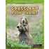 Grassland Food Chains