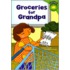 Groceries for Grandpa