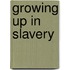 Growing Up In Slavery