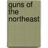 Guns Of The Northeast