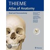 Head And Neuroanatomy by Udo Schumacher