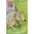 Hedgehogs In The Hall
