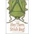 Hey There, Stink Bug!