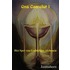 Ons Camelot