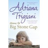 Home to Big Stone Gap door Phyllis Greene