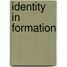 Identity In Formation door David D. Laitin