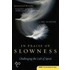 In Praise Of Slowness