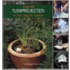 Originele tuinprojecten