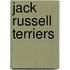 Jack Russell Terriers