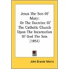 Jesus the Son of Mary door Rev John Brande Morris