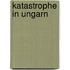 Katastrophe in Ungarn