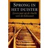 Sprong in het duister