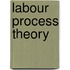 Labour Process Theory