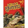Let's Look at Iguanas door Judith Jango-Cohen