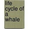 Life Cycle of a Whale door Lisa Trumbauer