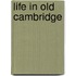 Life In Old Cambridge