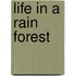 Life in a Rain Forest