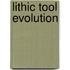 Lithic Tool Evolution