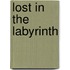 Lost In The Labyrinth