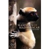 Mammals of Madagascar door Nick Garbutt