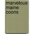 Marvelous Maine Coons