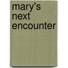 Mary's Next Encounter door Amanda Smithley