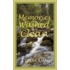 Memories Washed Clean